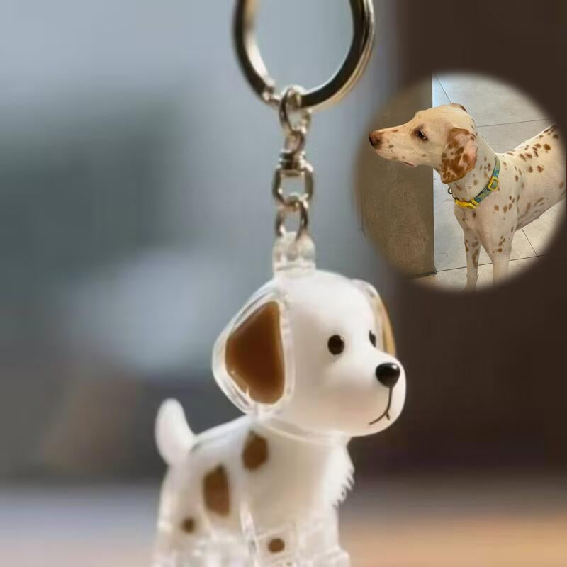 Dog Hair Storage Bottle, Dog Fur Keepsake Capsule Pendant, Keychain for Collecting Cat and Dog Hair, Cute Pet Memorial Gifts, Back-To-School Gifts