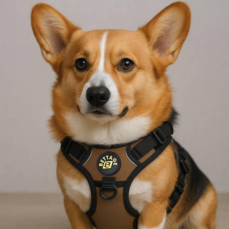 Best Pet Supplies Bettage Adjustable Dog Vest Harness Breathable No Pull Harness for Small, Medium, Large Dogs, Easy Step-In Dogaccessories