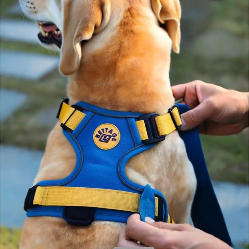 Best Pet Supplies Bettage Adjustable Dog Vest Harness Breathable No Pull Harness for Small, Medium, Large Dogs, Easy Step-In Dogaccessories