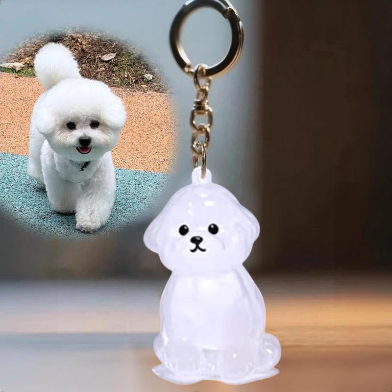 Dog Hair Storage Bottle, Dog Fur Keepsake Capsule Pendant, Keychain for Collecting Cat and Dog Hair, Cute Pet Memorial Gifts, Back-To-School Gifts