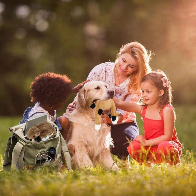 5 PCS Crinkle Dog Squeaky Toys with Double Layer Reinforced Fabric, Durable Plush Dog Toys, No Stuffing Body Dog Toy Set for Small to Large Dogs