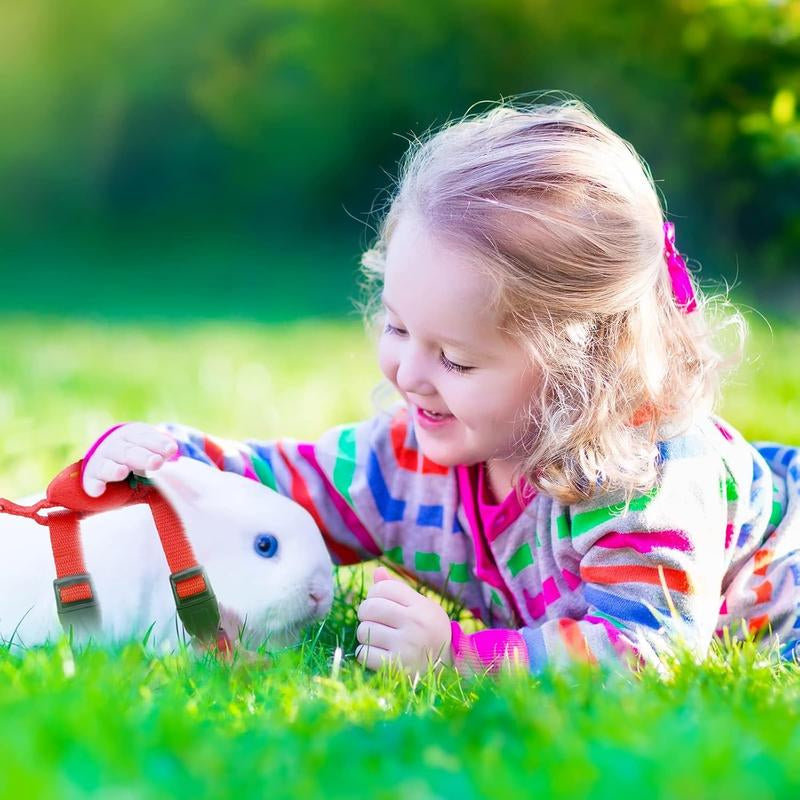 4 Sets Adjustable Bunny Rabbit Harness and Leash Set Small Pet Cute Vest Harness Leash with Decoration for Bunny Ferret Small Pets,Car Interior Accessories