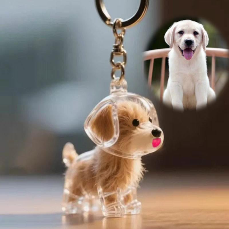Dog Hair Storage Bottle, Dog Fur Keepsake Capsule Pendant, Keychain for Collecting Cat and Dog Hair, Cute Pet Memorial Gifts, Back-To-School Gifts