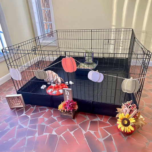 Aivituvin-Air71 Guinea Pig ，Bunny Playpen| Small Pet Playpen with Floor,Petlife,Dog Playpen,Rabbit Playpen,Dog Crate