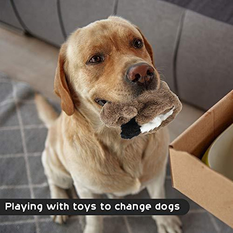 5 PCS Crinkle Dog Squeaky Toys with Double Layer Reinforced Fabric, Durable Plush Dog Toys, No Stuffing Body Dog Toy Set for Small to Large Dogs